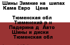 Шины Зимние на  шипах Кама Евро › Цена ­ 4 000 - Тюменская обл., Тюменский р-н, Падерина д. Авто » Шины и диски   . Тюменская обл.